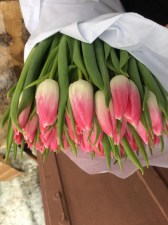 Тюльпаны купить Липецк